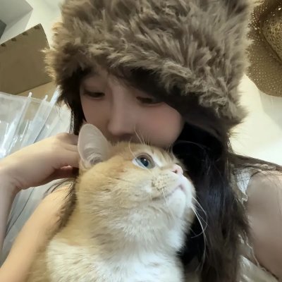 穿越橄榄树林